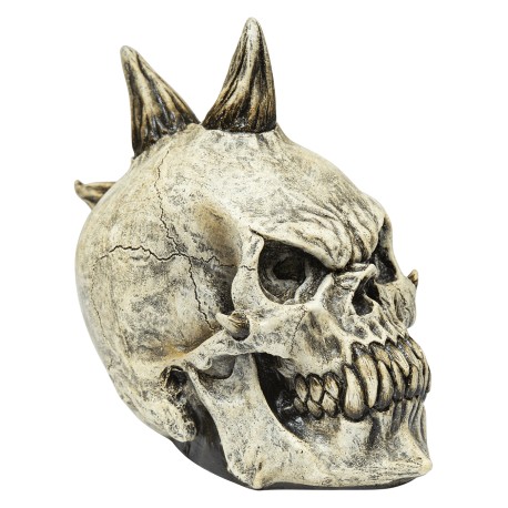 Skull Punk