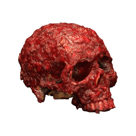 Blood Scab Resin Skull