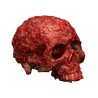 Blood Scab Resin Skull