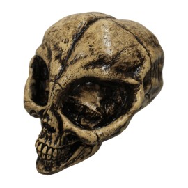 Alien resin skull