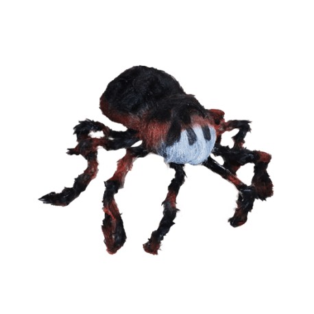 Araña gigante