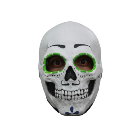 Catrin skull
