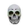 Catrin skull