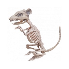 Esqueleto de rata