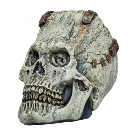Franky Skull