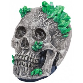 Kryptonite Skull