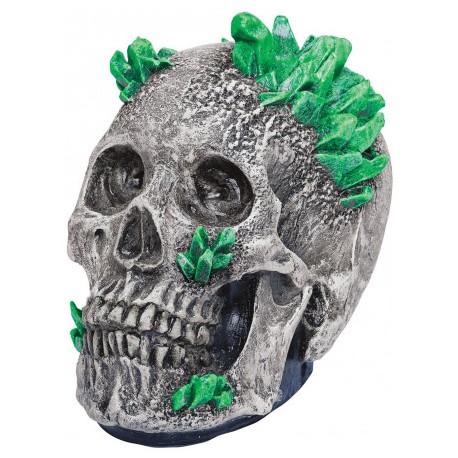Kryptonite Skull