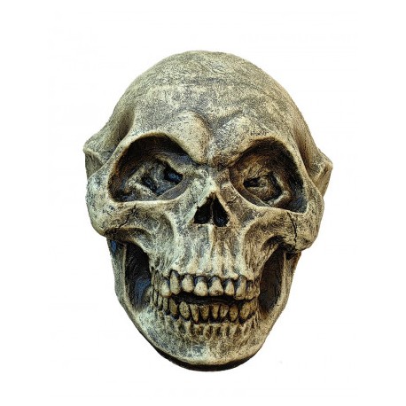 Alien Skull