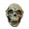 Alien Skull