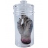 Severed Hand Lab Experiment