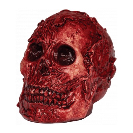 Fleshy Skull