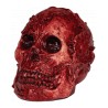 Fleshy Skull