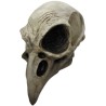 Crow Skull