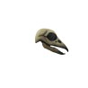 Raven skull