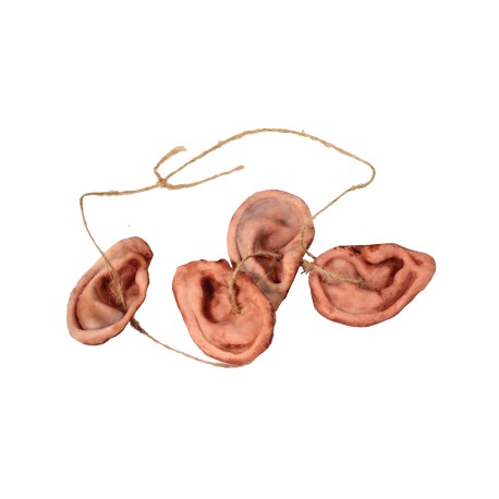 Earneacklace