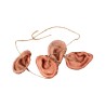 Earneacklace