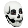 Makeup skull