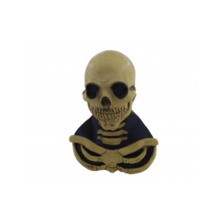 Long neck skull