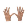 Silent stalker hands