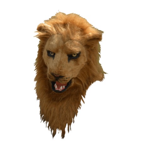 Lion moving mouth