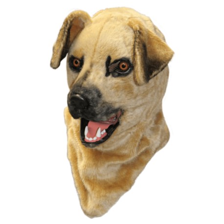 Dog moving mouth