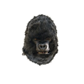 Gorila moving mouth