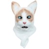 Ragdoll moving mouth