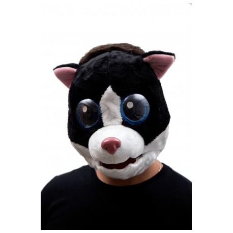 Lil' cat