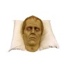 Roger pillow Pal