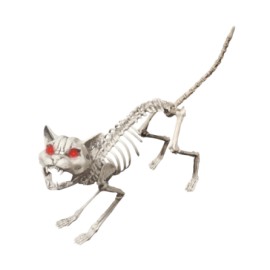 Animated cat skeleton