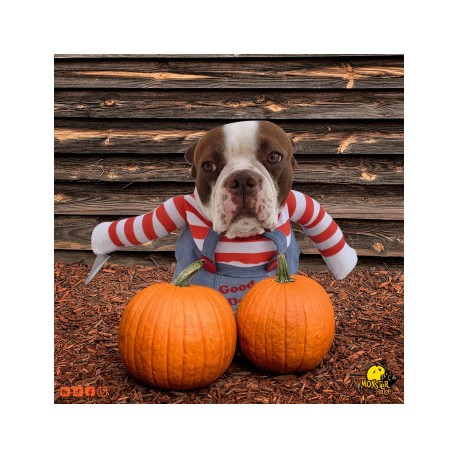 Disfraz de Chucky para perrito