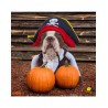 Disfraz de pirata para perro