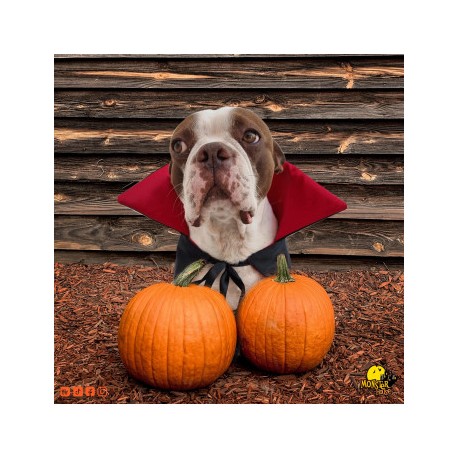 Capa de vampiro para perro