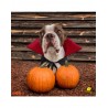 Capa de vampiro para perro