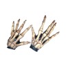 Large skeleton hands bone...