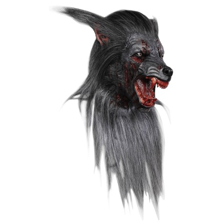 Black wolf